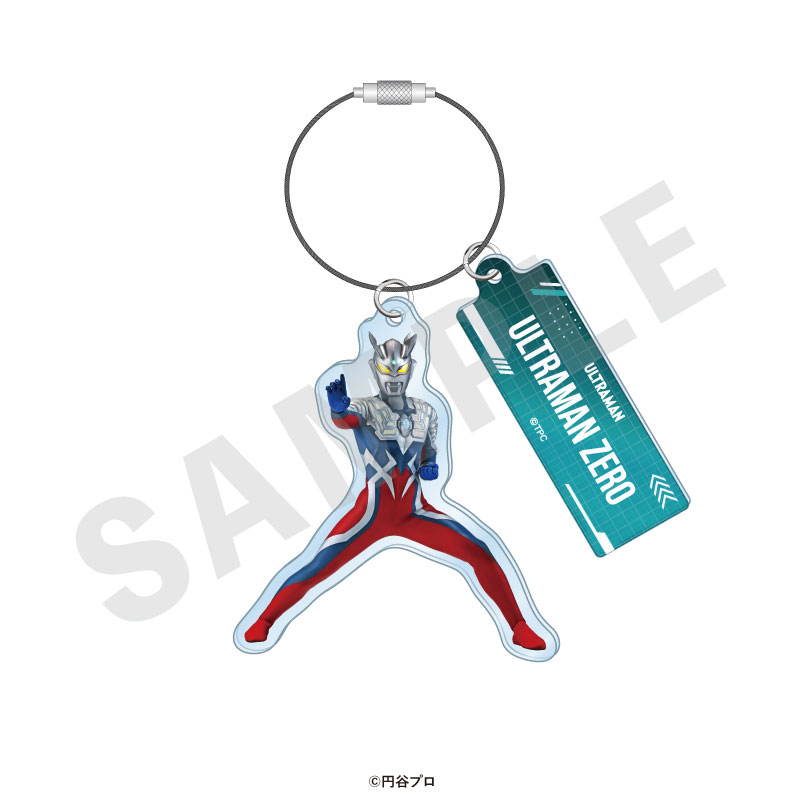 GOODS-04715521_01.jpg