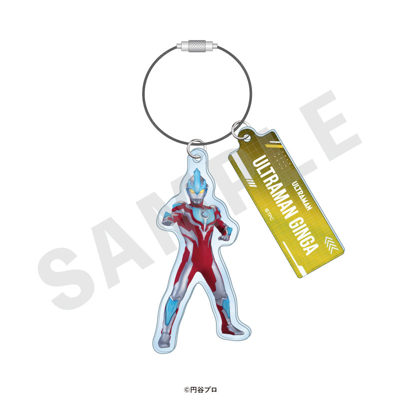 GOODS-04715521_02.jpg