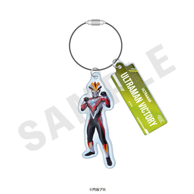GOODS-04715521_03.jpg