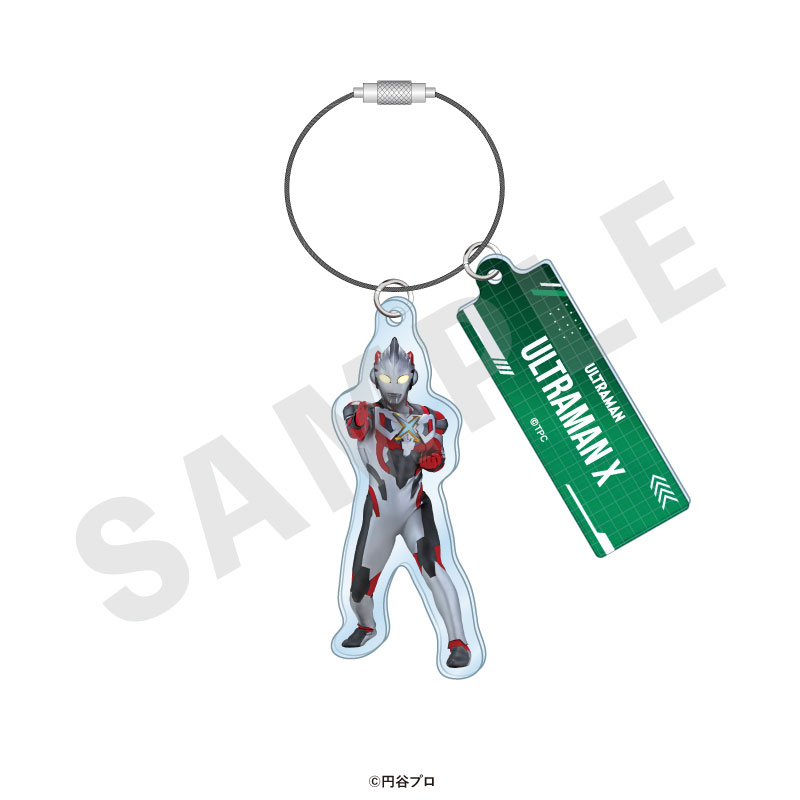 GOODS-04715521_04.jpg
