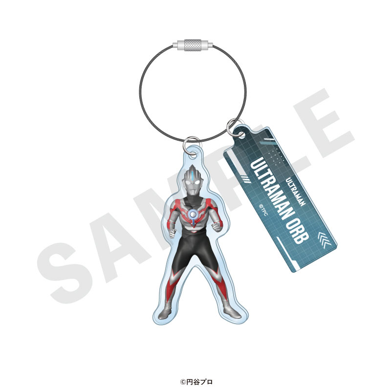 GOODS-04715521_05.jpg