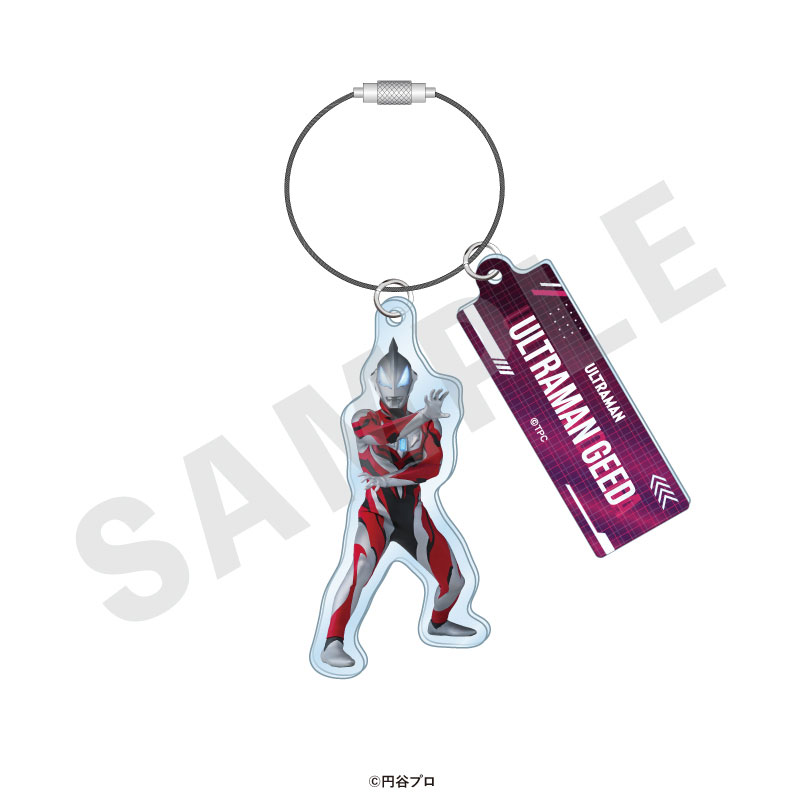 GOODS-04715521_06.jpg
