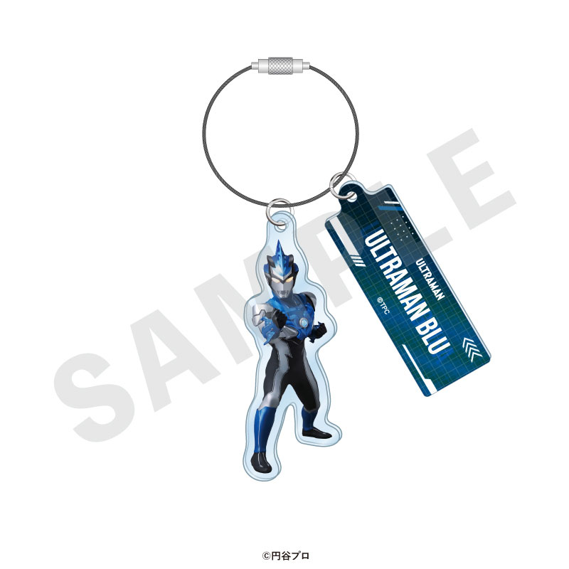 GOODS-04715521_08.jpg