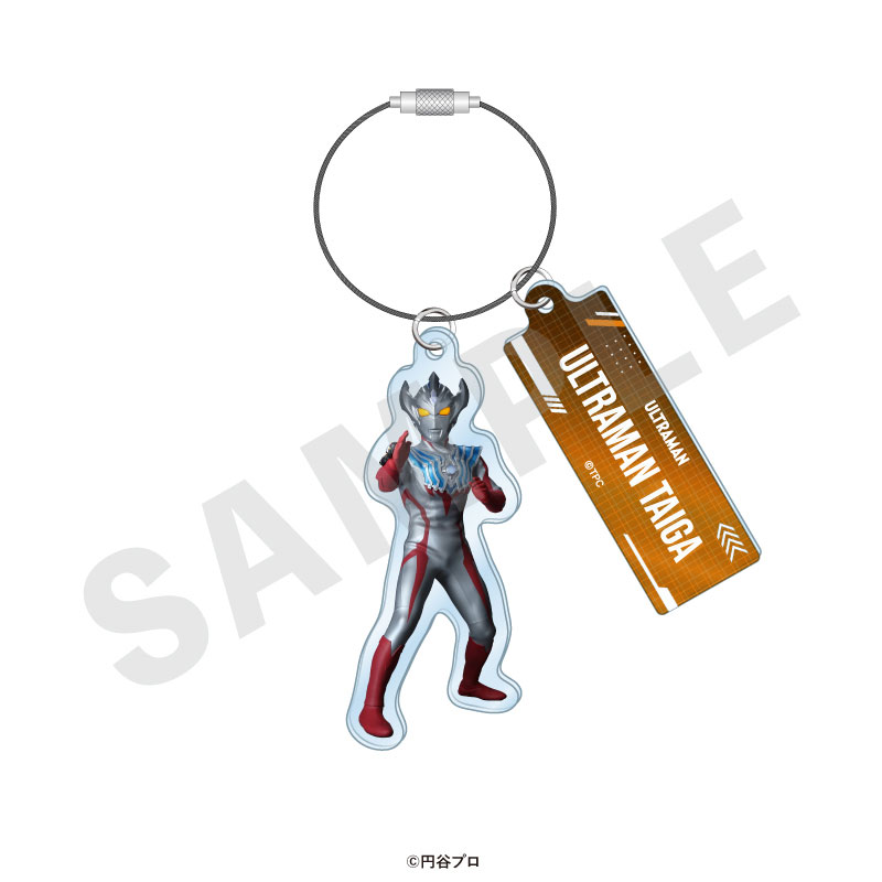 GOODS-04715521_09.jpg