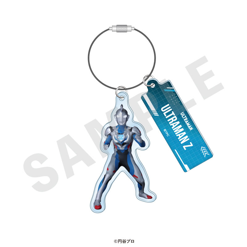 GOODS-04715521_10.jpg