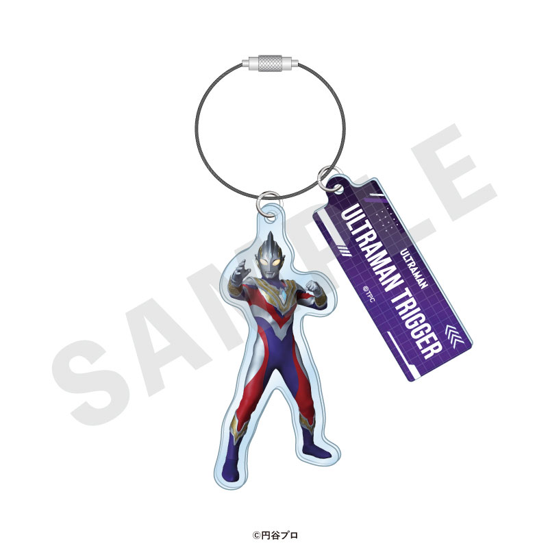 GOODS-04715521_11.jpg