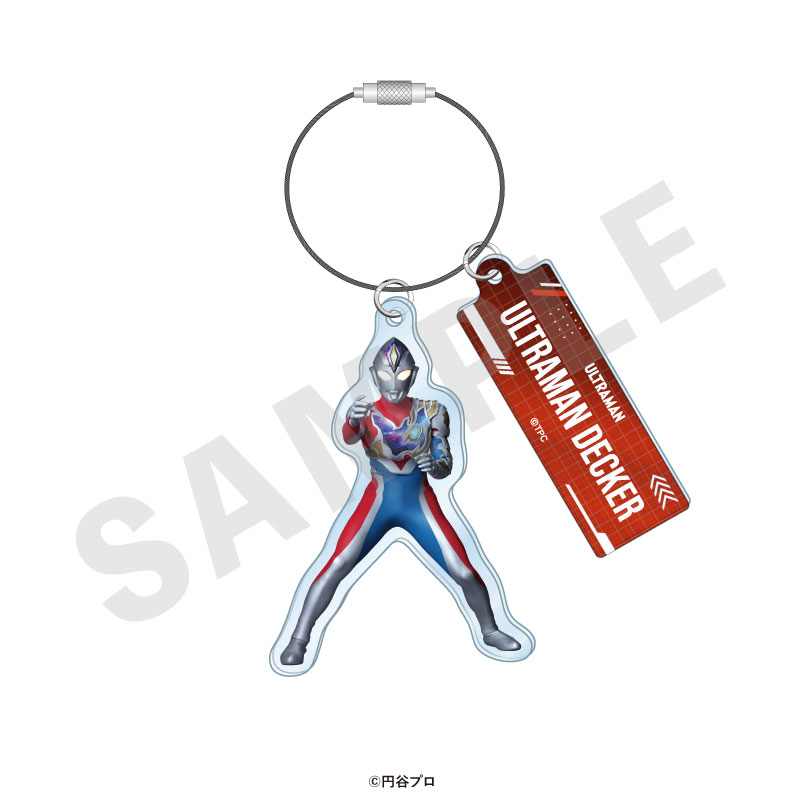 GOODS-04715521_12.jpg