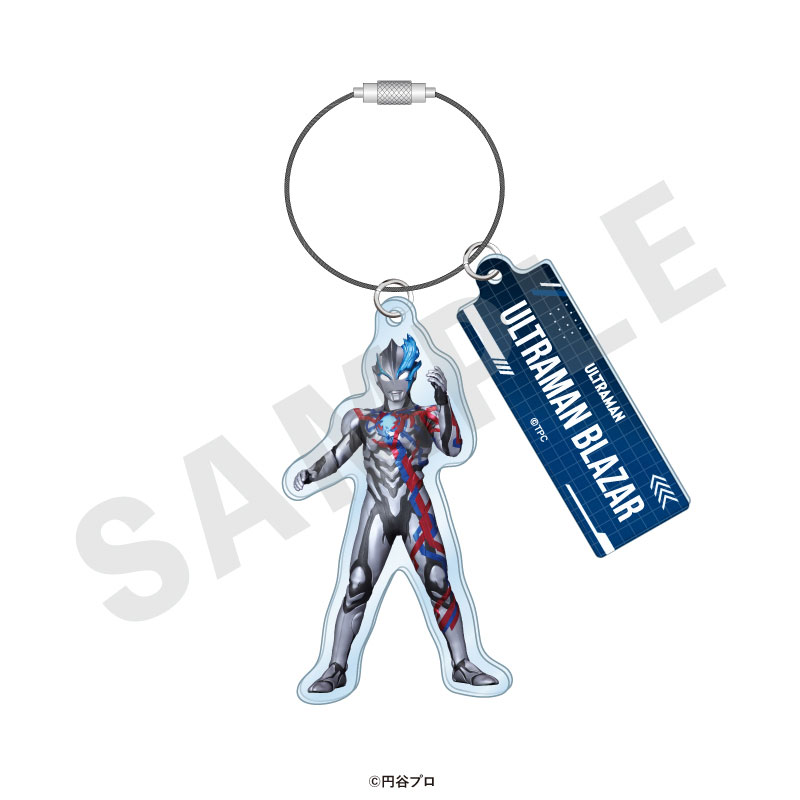 GOODS-04715521_13.jpg