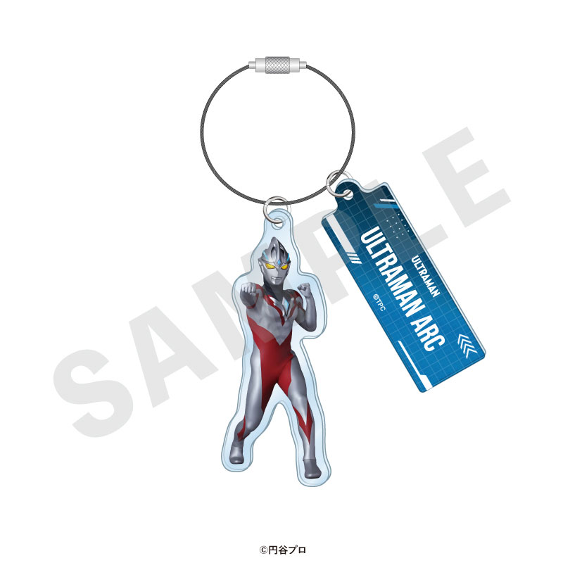GOODS-04715521_14.jpg