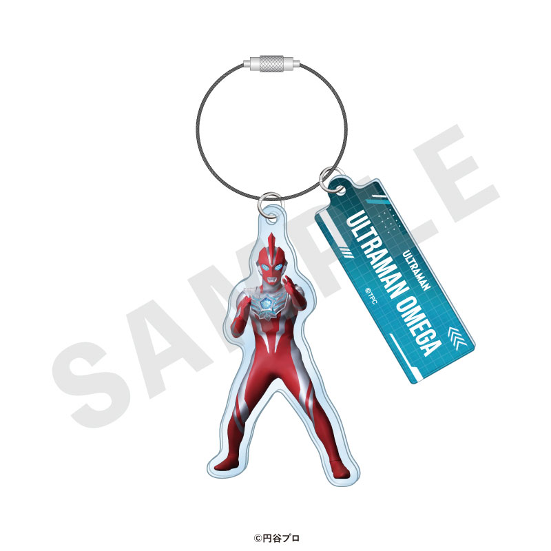 GOODS-04715521_15.jpg