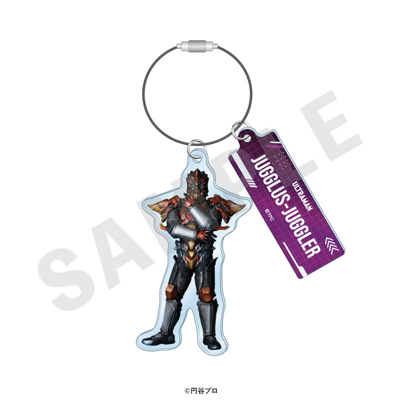 GOODS-04715521_16.jpg