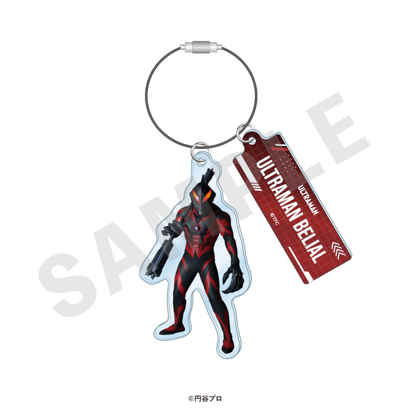 GOODS-04715521_17.jpg