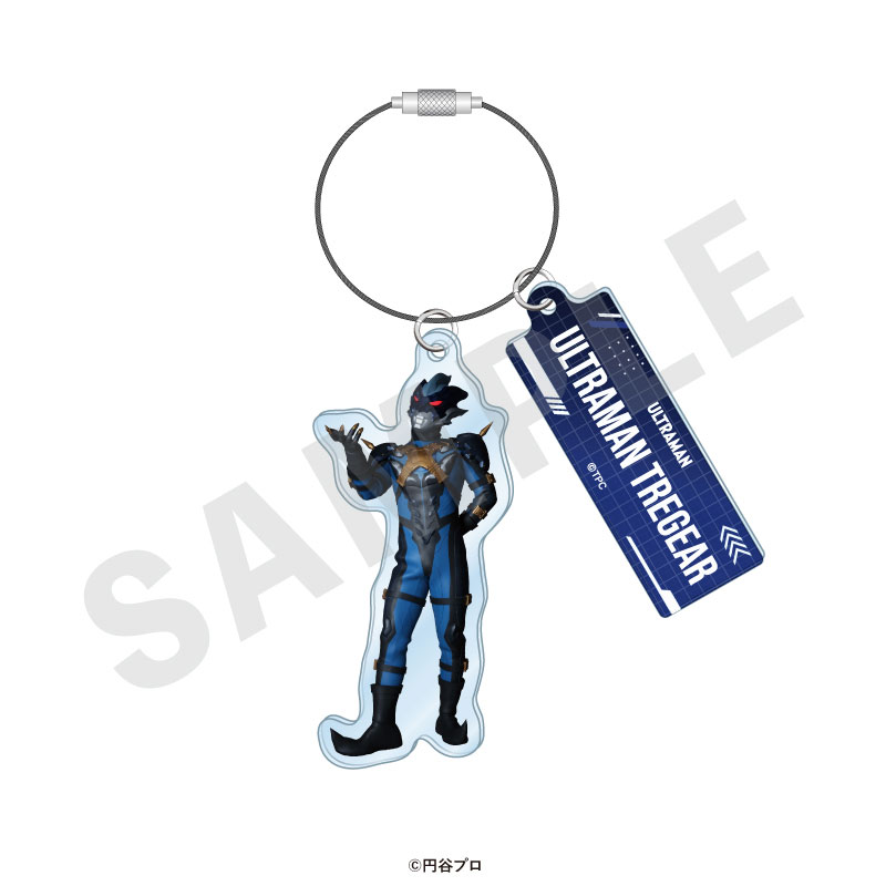 GOODS-04715521_18.jpg