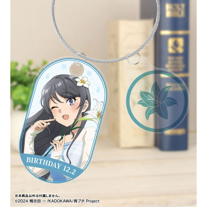 青春ブタ野郎はサンタクロースの夢を見ない 描き下ろし 桜島麻衣(夏)2