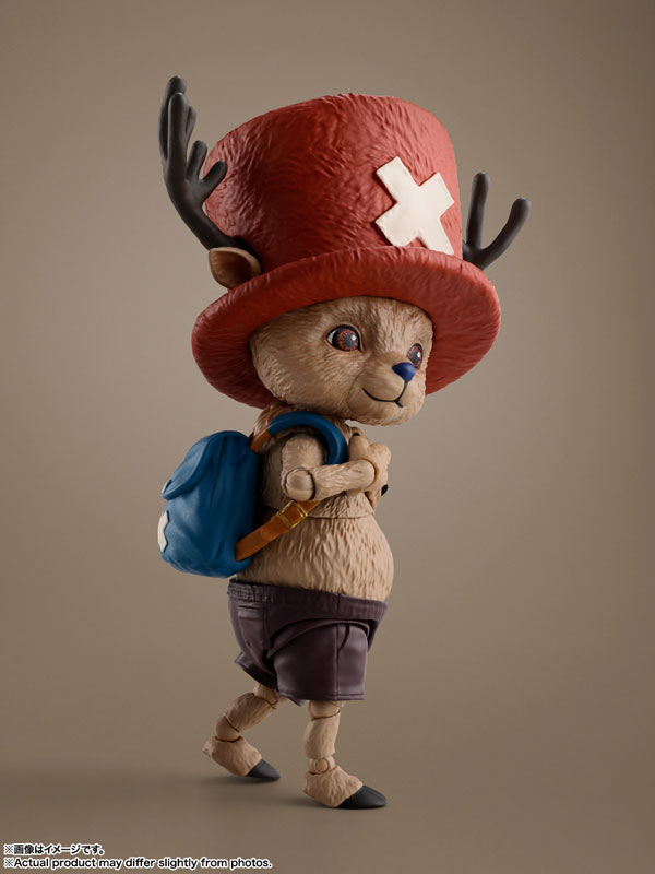 FIGURE-198987_05.jpg