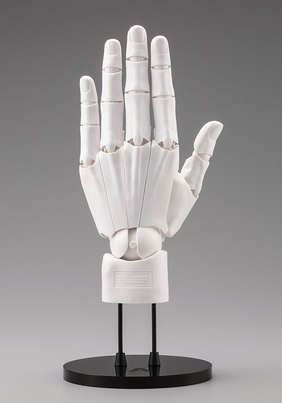 FIGURE-200102_01.jpg