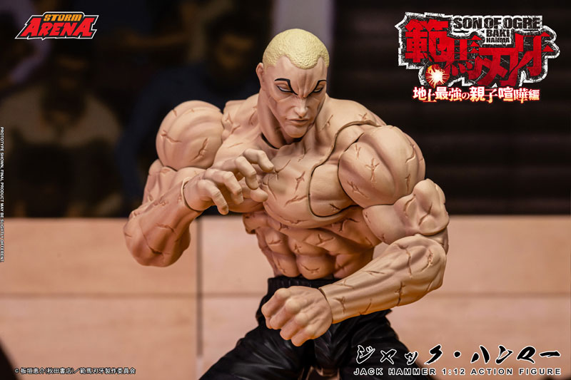 FIGURE-200354_17.jpg