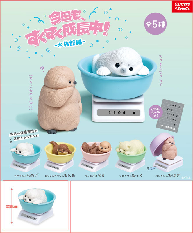 GOODS-04748088_01.jpg