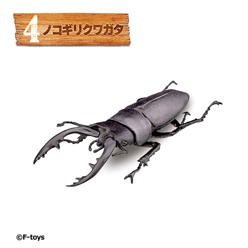 GOODS-04764888_04.jpg