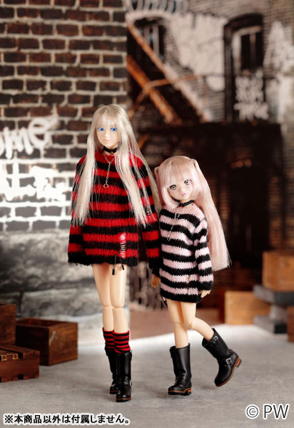 CCS 26SS momoko 完成品ドール