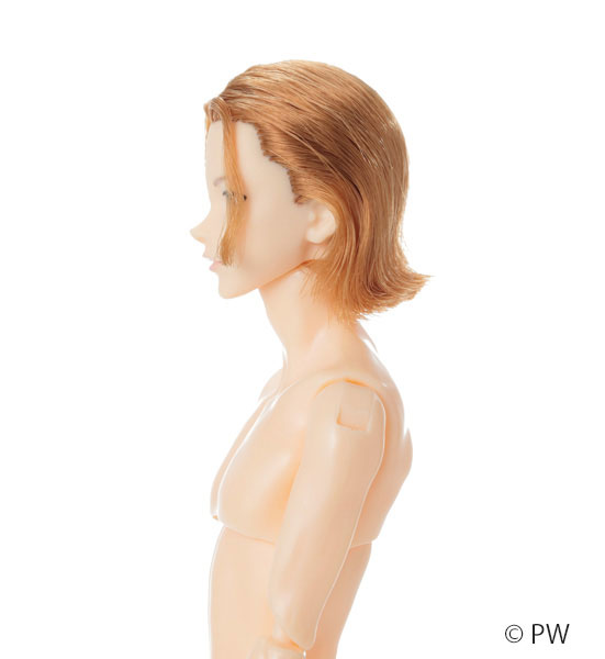 六分の一男子図鑑 B2604 エイト 完成品ドール