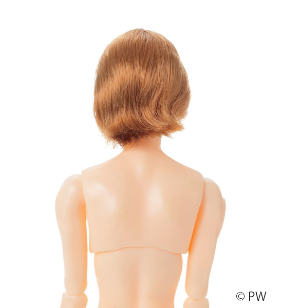 六分の一男子図鑑 B2604 エイト 完成品ドール