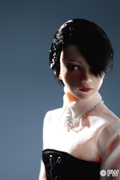 六分の一男子図鑑 アイドルリンク エイト 完成品ドール