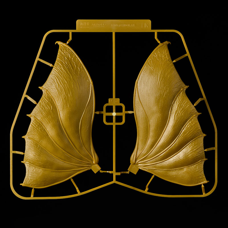 FIGURE-201998_19.jpg