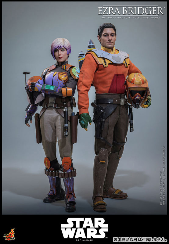 FIGURE-202351_13.jpg