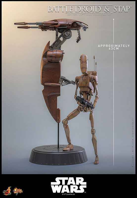 FIGURE-202825_14.jpg
