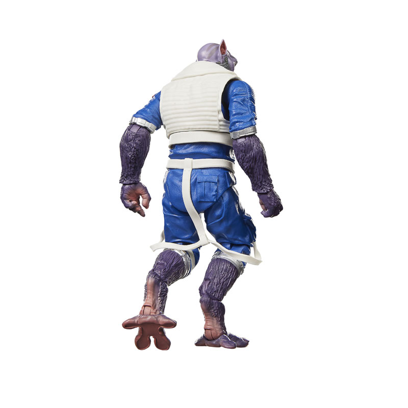 FIGURE-203405_13.jpg