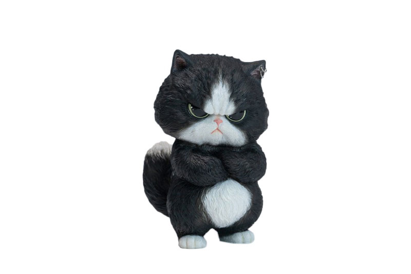 ぷんすか猫 A