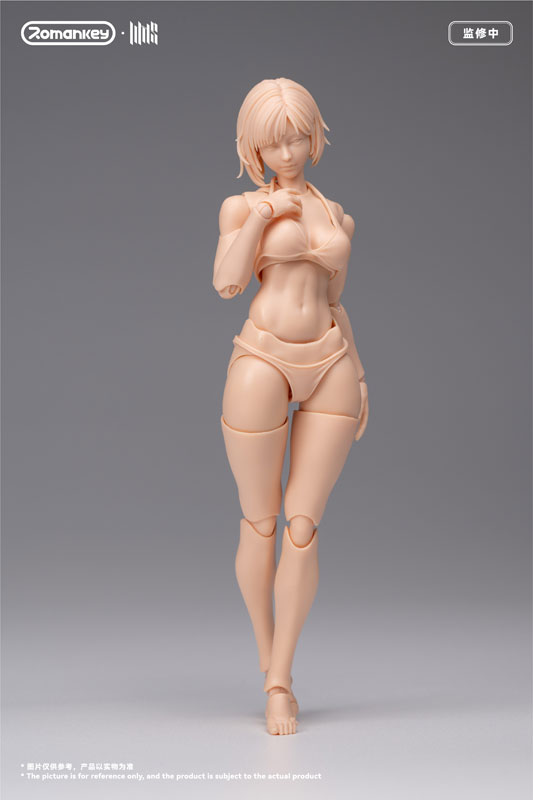 FIGURE-203650_01.jpg