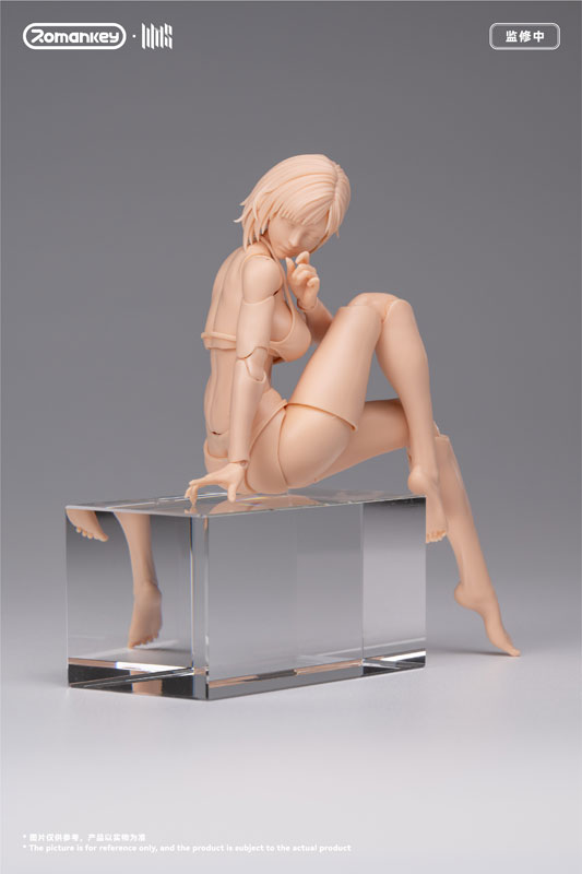 FIGURE-203650_03.jpg