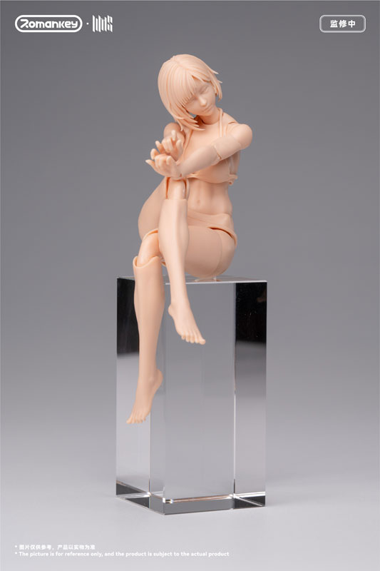 FIGURE-203650_04.jpg
