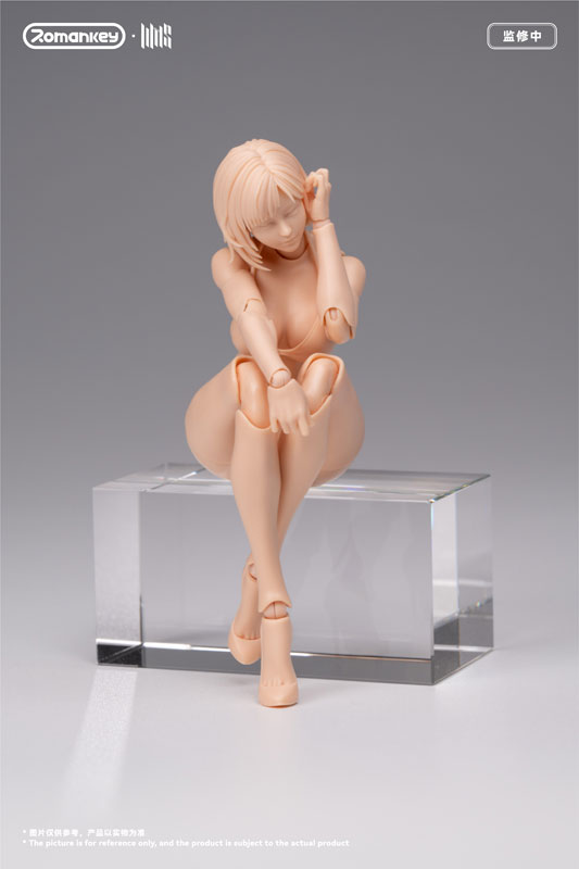 FIGURE-203650_10.jpg