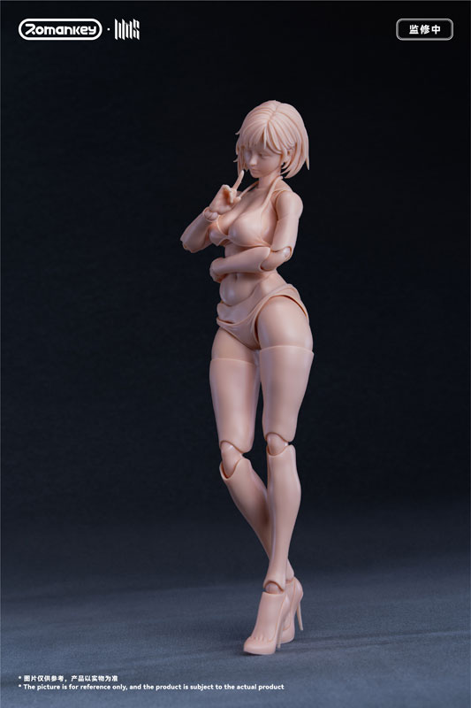 FIGURE-203650_14.jpg