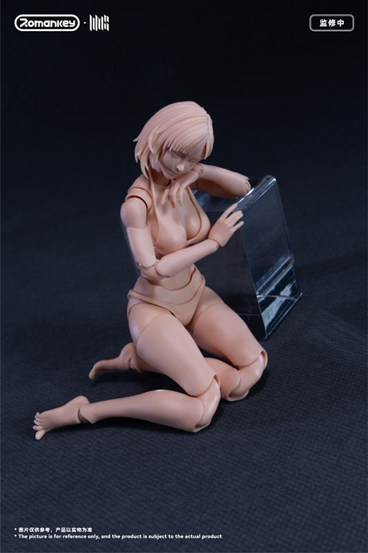 FIGURE-203650_15.jpg