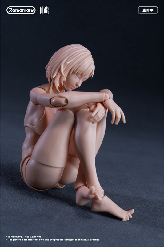 FIGURE-203650_16.jpg