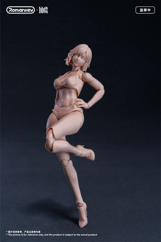 FIGURE-203650_18.jpg