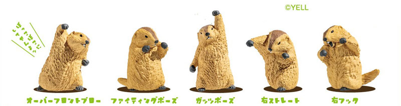 GOODS-04784569_01.jpg