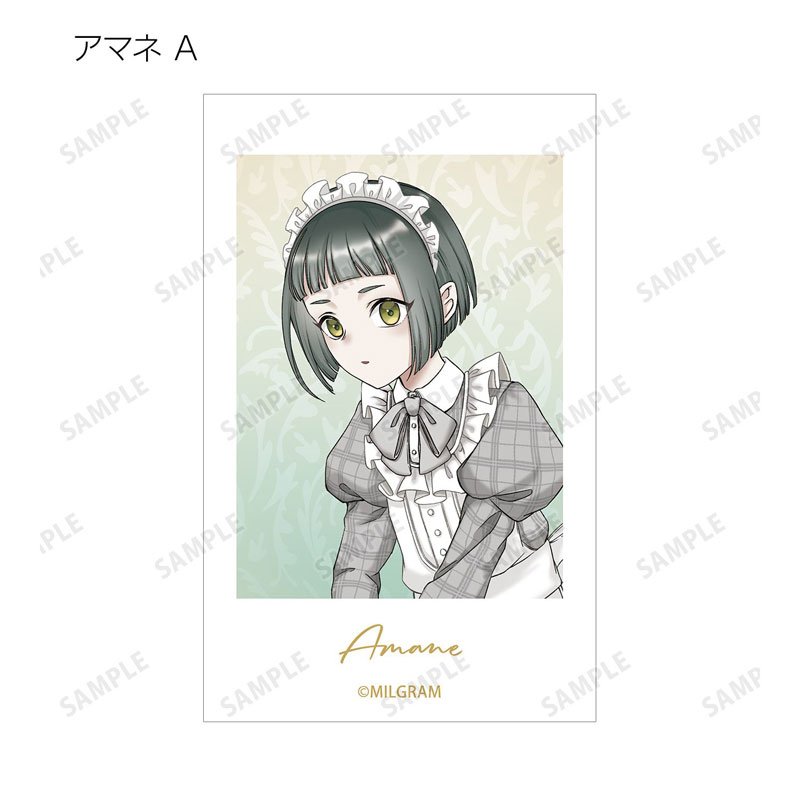 GOODS-04809078_10.jpg