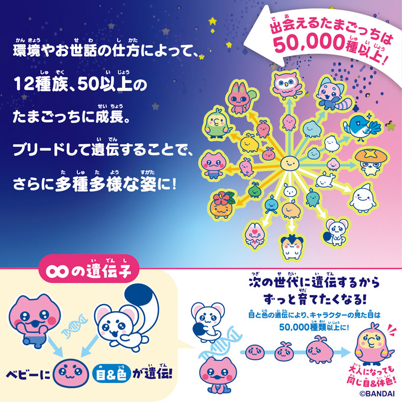 TOY-024926_04.jpg