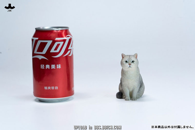 ブリティッシュショートヘア A