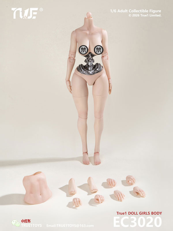 1/6 セミメカニカル 女性素体 白肌 ラージバスト