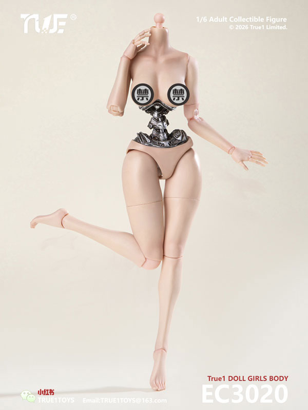 1/6 セミメカニカル 女性素体 白肌 ラージバスト