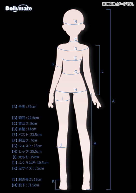 Dollymate WHITE ALBUM2 冬馬かずさ 通常版 完成品ドール