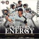 BBM 北海道日本ハムファイターズ カードセット2009 「FIGHTERS ENERGY」