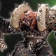 ワールド・オブ・ウォークラフト プレミアム/ オーク・ウォーリアー：GARROSH HELLSCREAM 単品