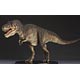 マスターフォッシル ライフモデルシリーズ T.rex ティランノサウルス 完成品フィギュア